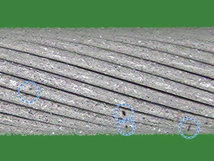 Healthy training crop with a few small dark pits drawn on the strands, each ringed in dashed blue.